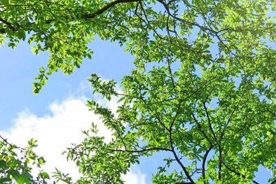 Lower Gwynedd Message 03.26.2021