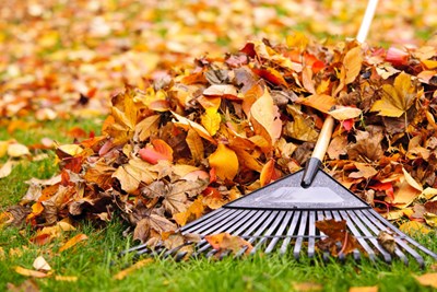 Fall Leaf Collection-Saturday, December 3rd