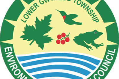 Plastic Waste Reduction: Discussion with Residents & Businesses