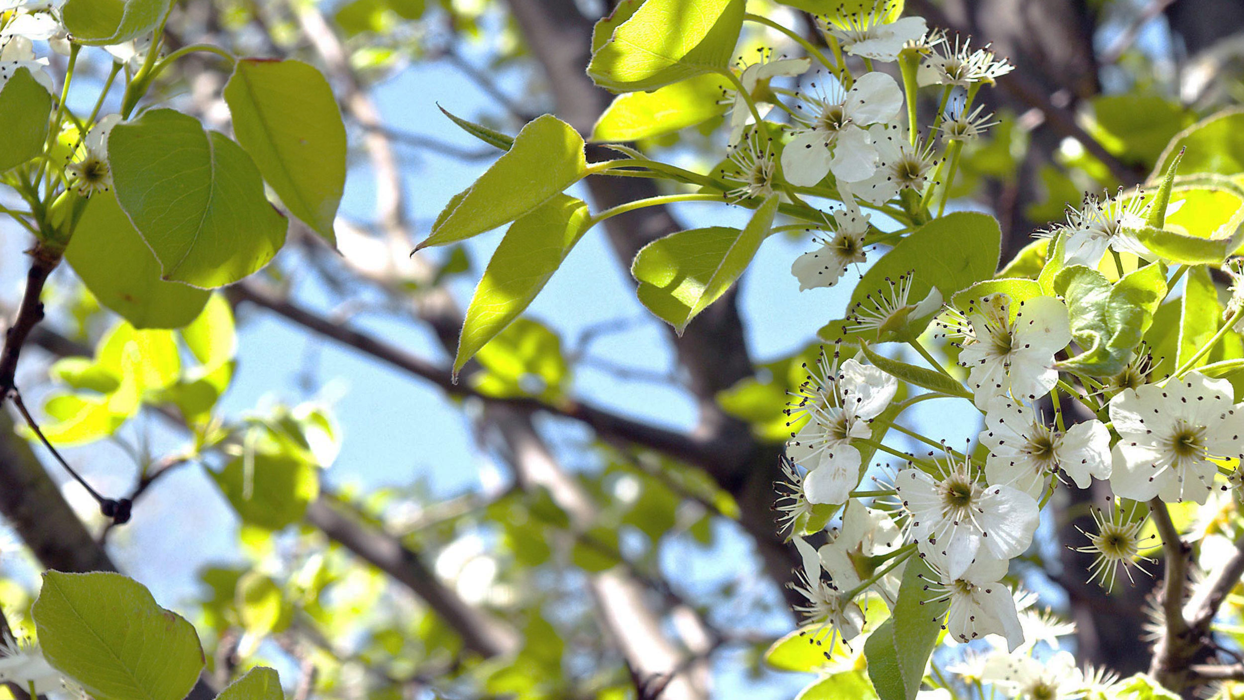 May e-Newsletter Now Available!