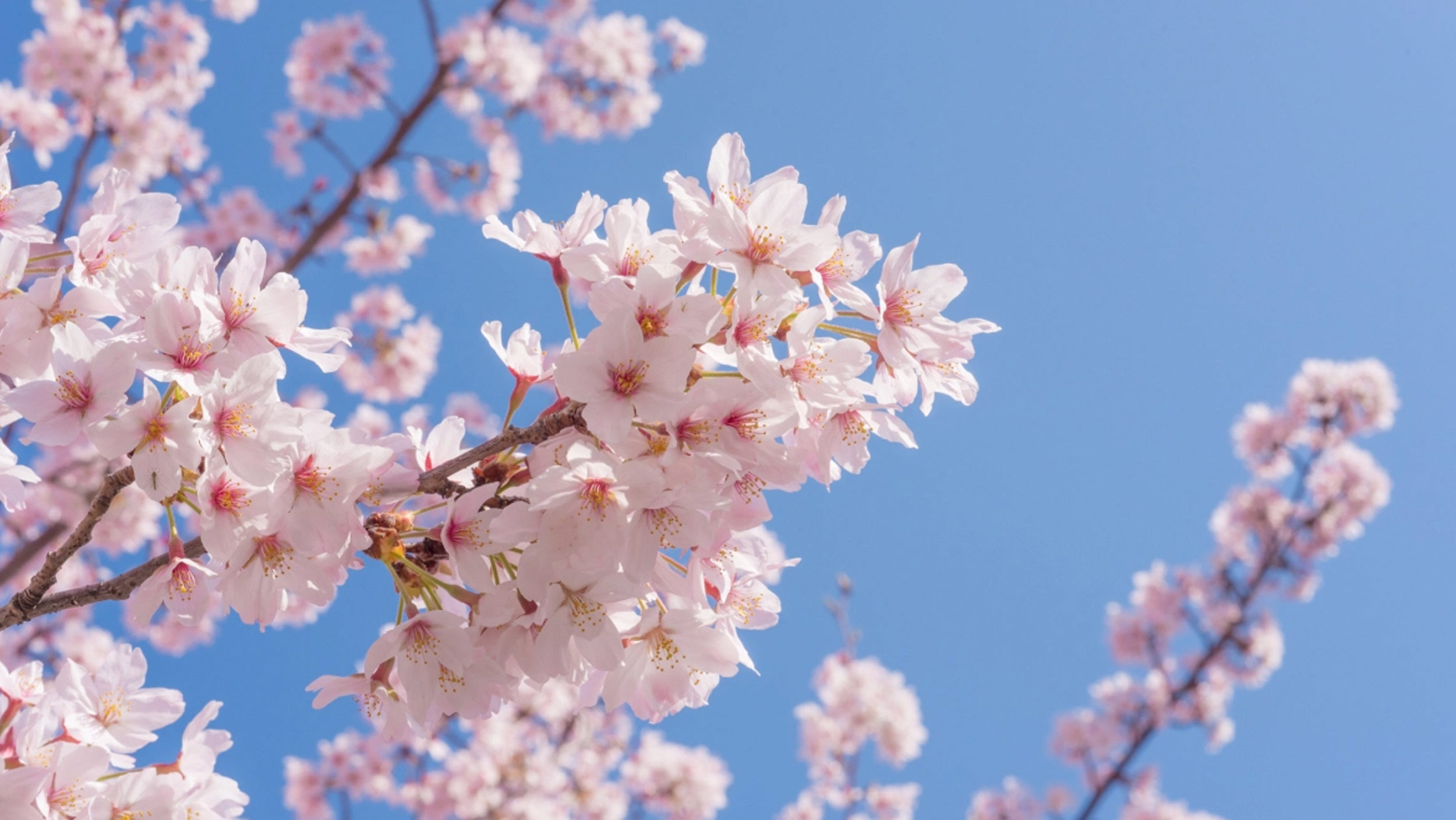 April e-Newsletter Now Available!