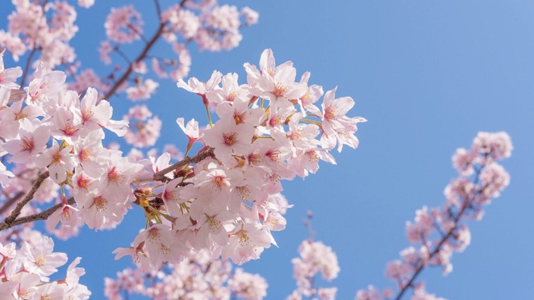 April e-Newsletter Now Available!