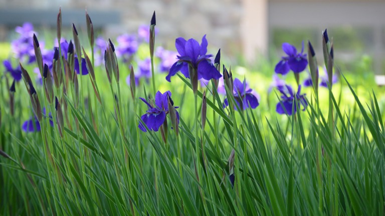 May e-Newsletter Now Available!