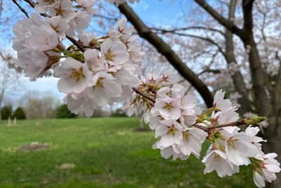 Lower Gwynedd Message 04.09.2021