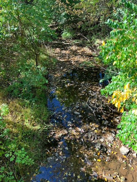 Streambank Restoration