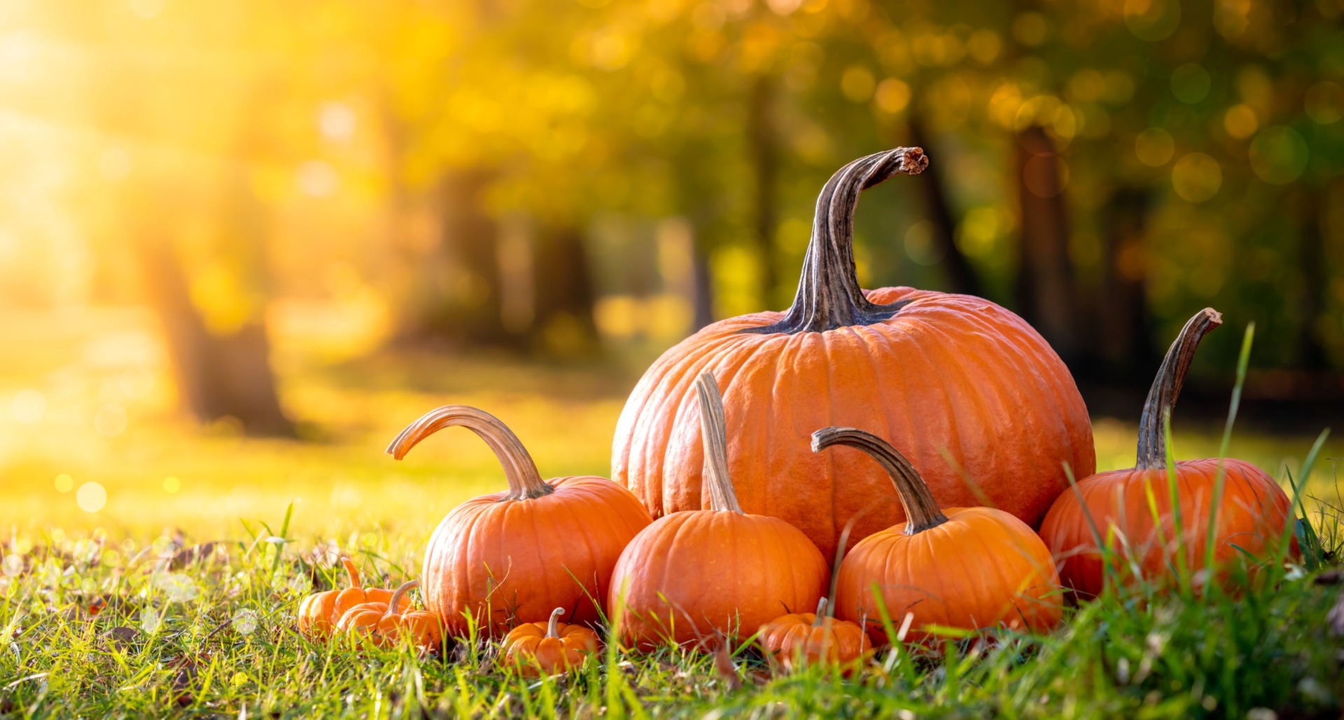 October e-Newsletter Now Available!