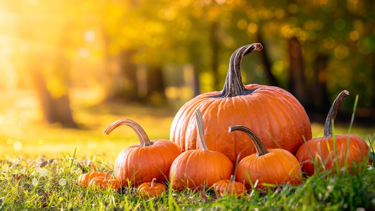 October e-Newsletter Now Available!