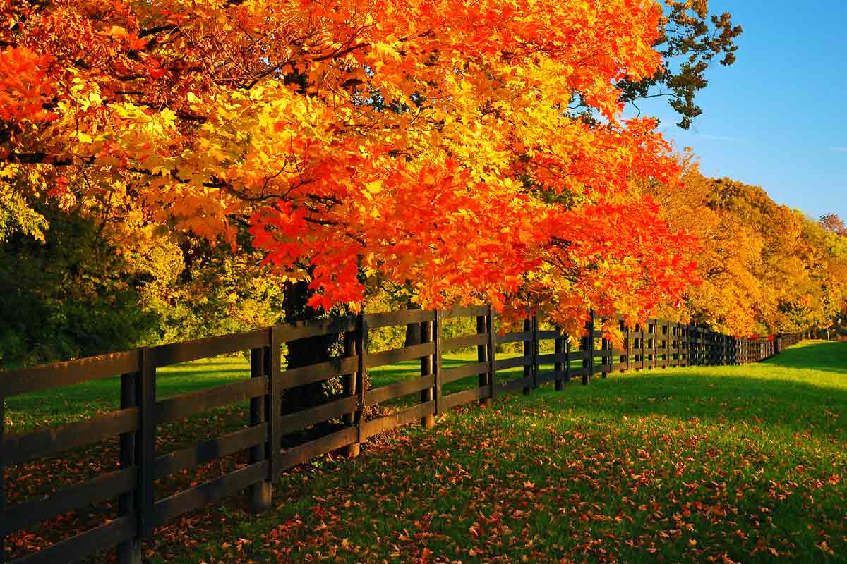 September e-Newsletter Now Available!