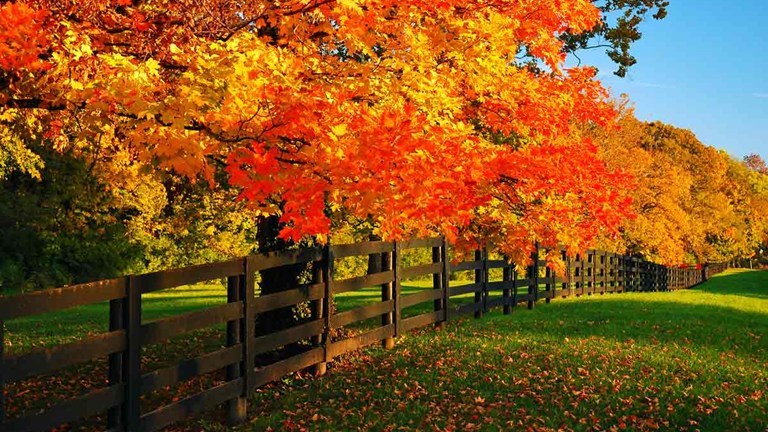 September e-Newsletter Now Available!