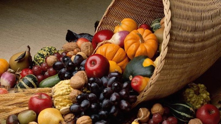 November e-Newsletter Now Available!