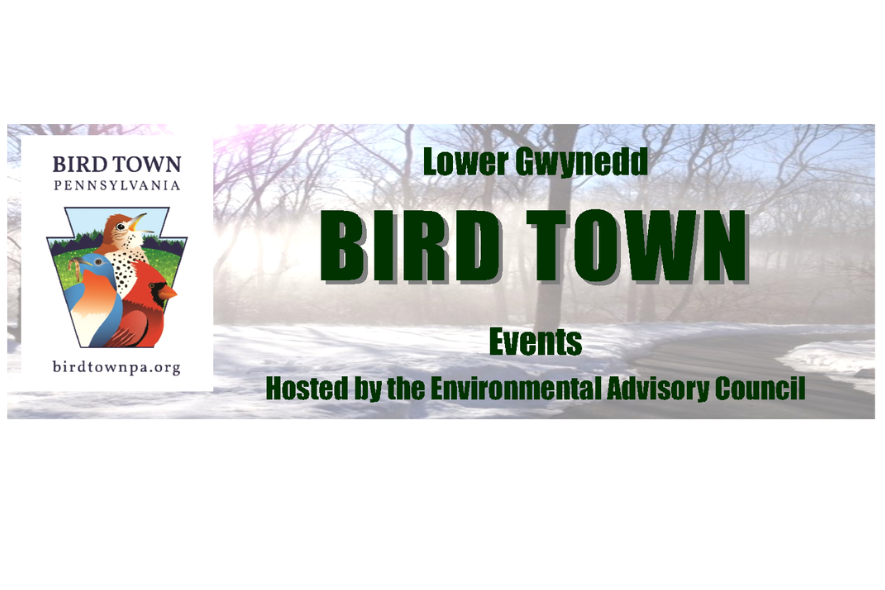 LGT EAC Bird Town
