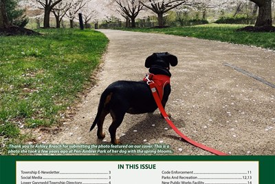 Township Newsletter Spring 2025-Lower Gwynedd Report