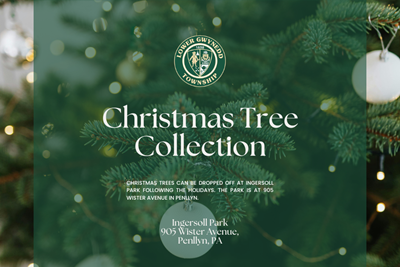 Christmas Tree Collection