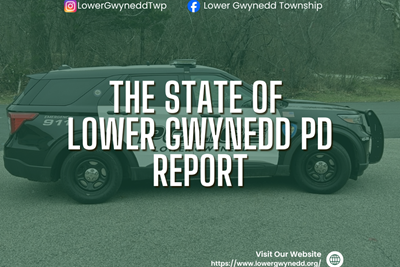 The State of Lower Gwynedd PD Report