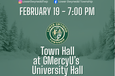 Development Town Hall