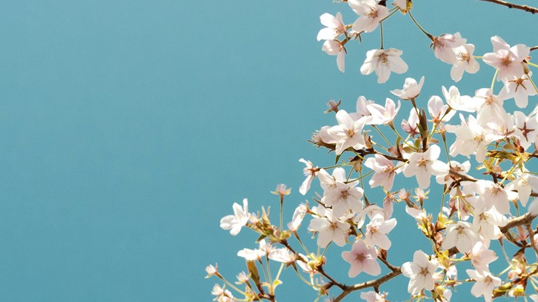 Upcoming Township Discussions