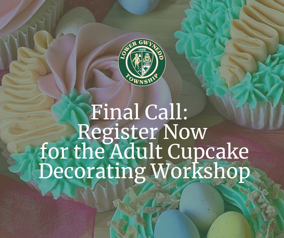 Final Call: Register Now for the Adult Cupcake Decorating Workshop