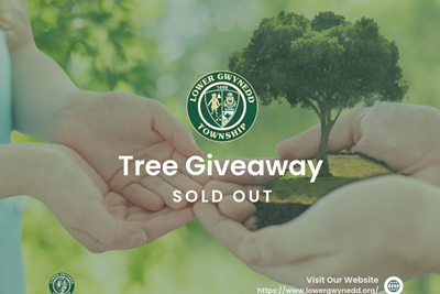 Sold Out: Tree Giveaway